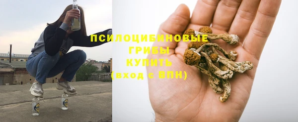 соль ск Балахна