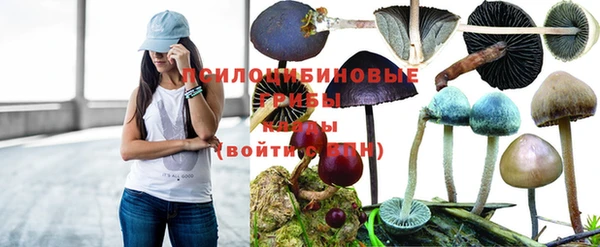 соль ск Балахна