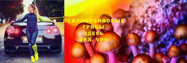 соль ск Балахна